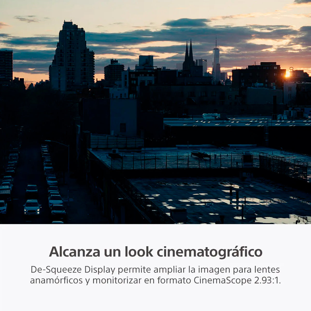 Cámara Sony ILME-FX2B / Q E38 (Cuerpo)