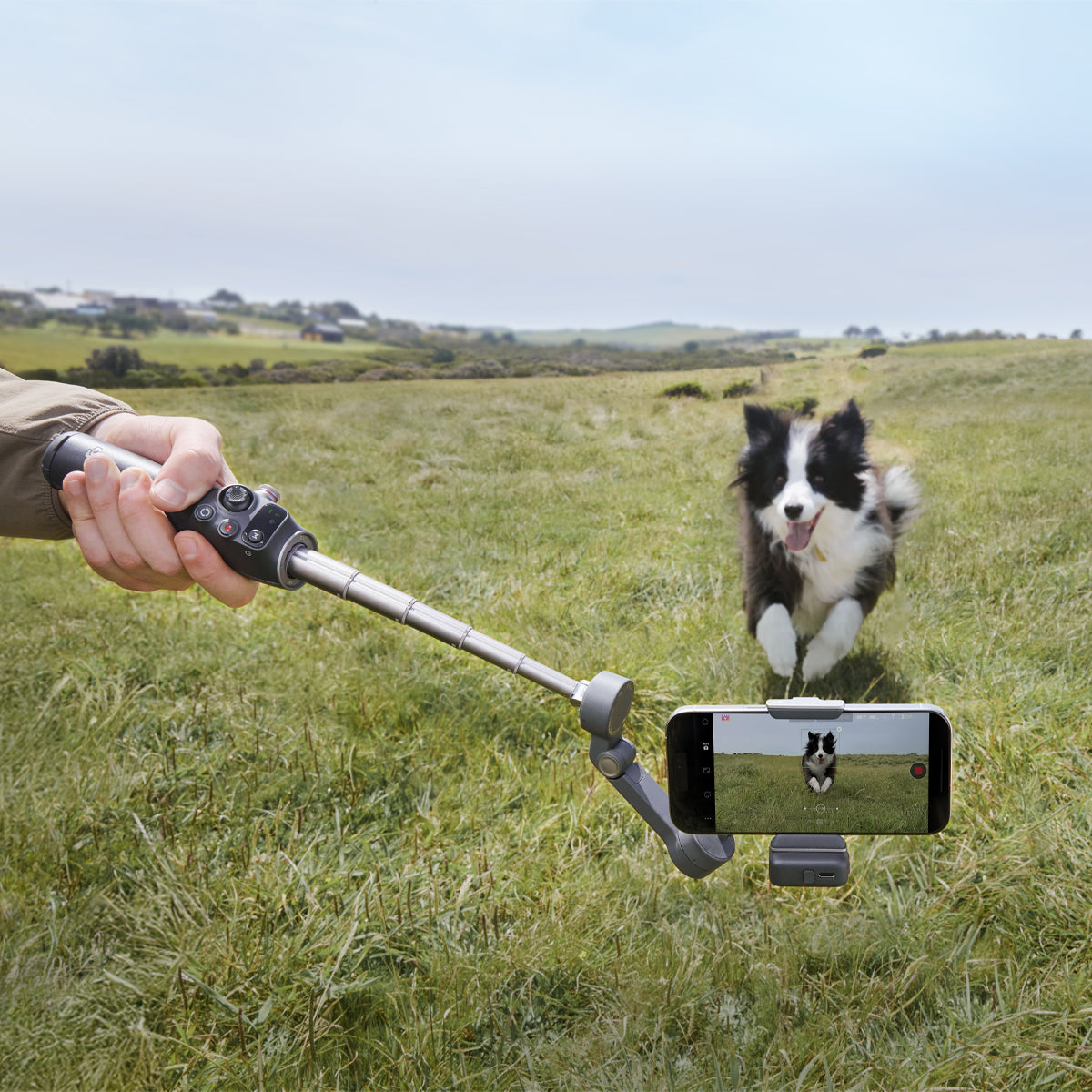 Estabilizador DJI Osmo Mobile 7P