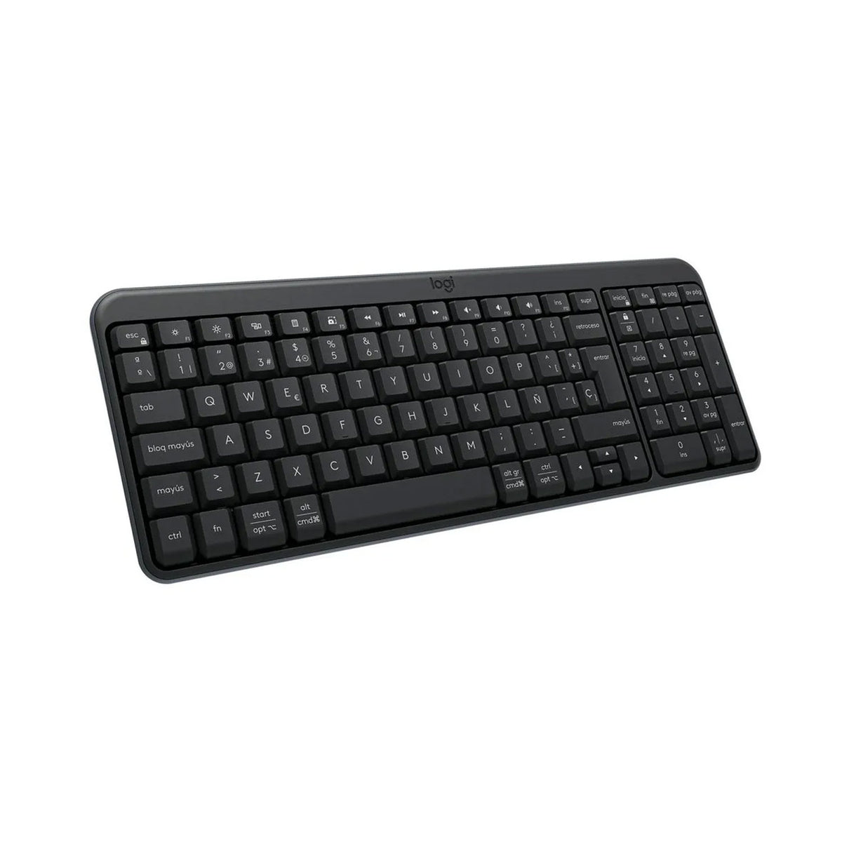 Teclado Logitech K250 Negro