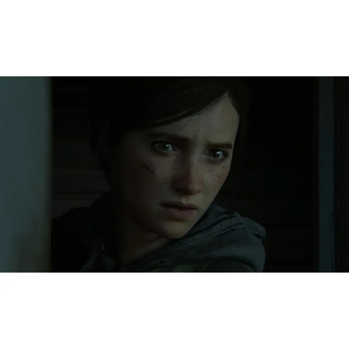 Juego PS4 The Last Of Us 2